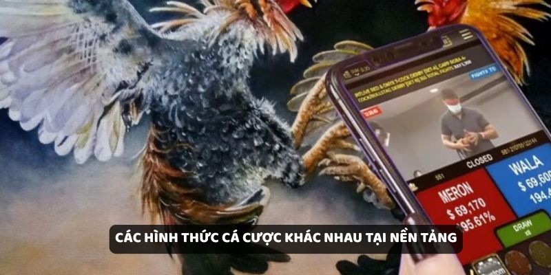 Các hình thức cá cược khác nhau tại nền tảng
