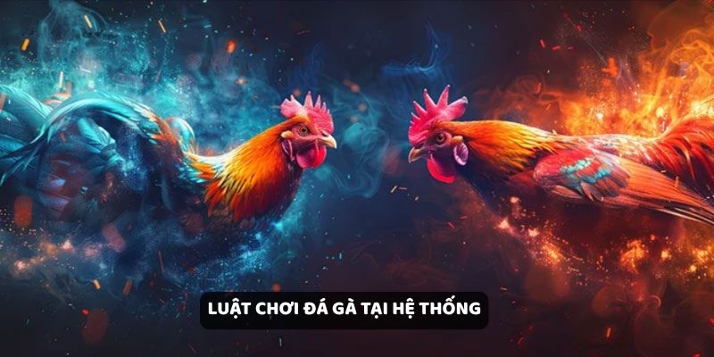 Luật chơi đá gà tại hệ thống