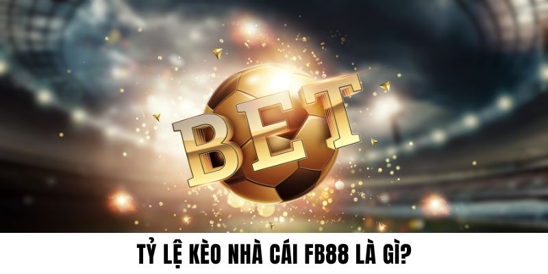 Tỷ lệ kèo rõ ràng, dễ sử dụng cho mọi đối tượng thành viên