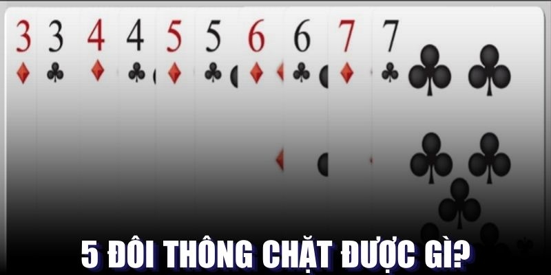Giải đáp chi tiết 5 đôi thông chặt được gì