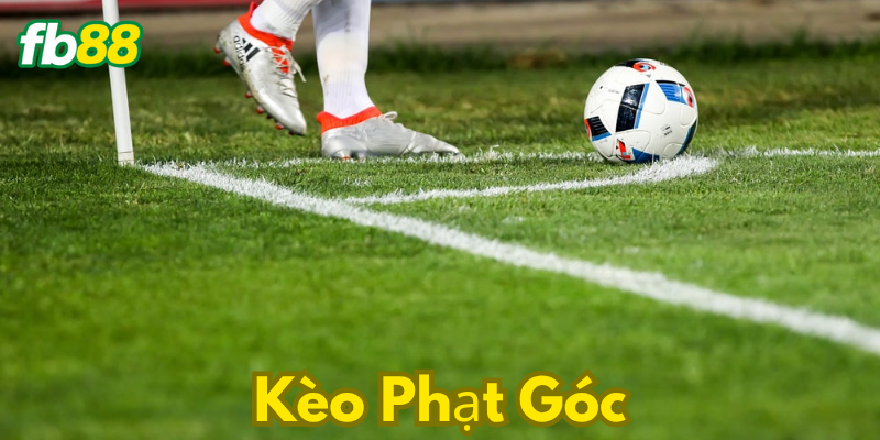 3 chiến lược hữu ích