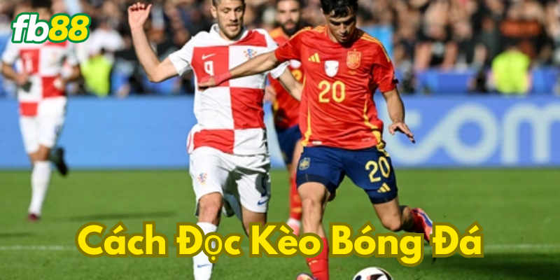 Cách đọc kèo bóng đá - kèo tài xỉu