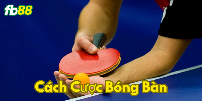 Người chơi biết gì về Cách Cược Bóng Bàn