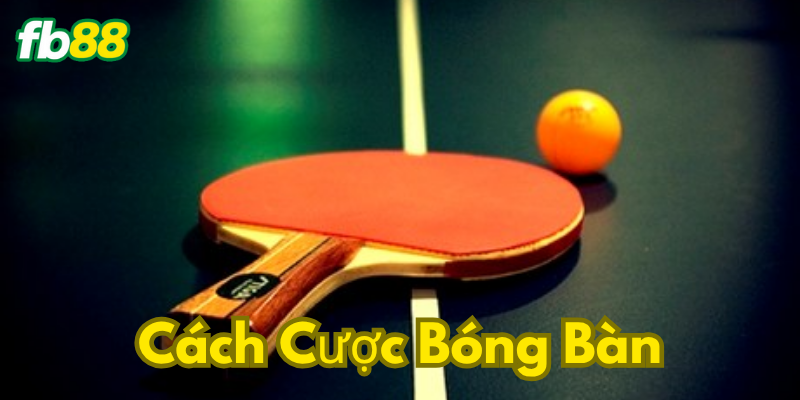 Các cách cược thường xuyên gặp