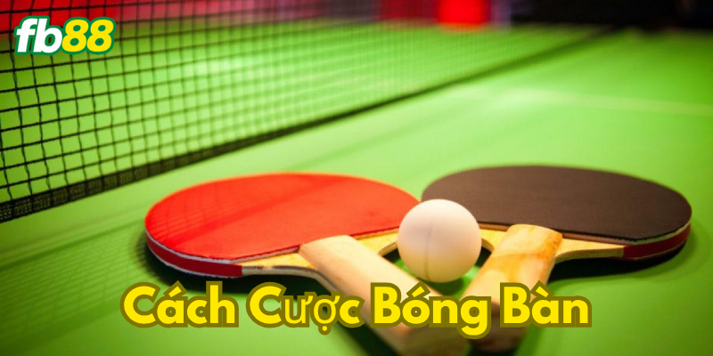 Những điều cần tránh