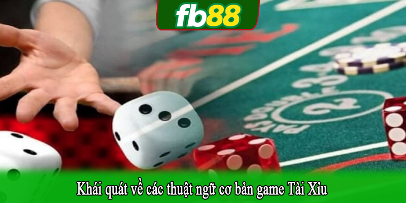 Khái quát về các thuật ngữ cơ bản game Tài Xỉu