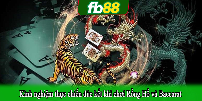 Kinh nghiệm thực chiến đúc kết khi chơi Rồng Hổ và Baccarat