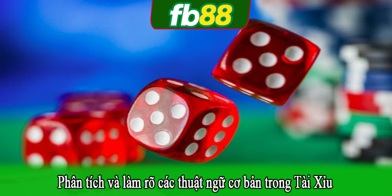 Phân tích và làm rõ các thuật ngữ cơ bản trong Tài Xỉu