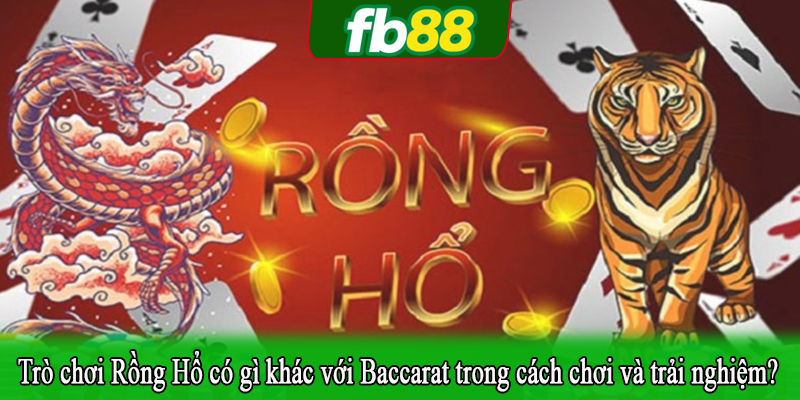 Trò chơi Rồng Hổ có gì khác với Baccarat trong cách chơi và trải nghiệm?
