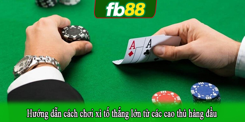 Hướng dẫn cách chơi xì tố thắng lớn từ các cao thủ hàng đầu