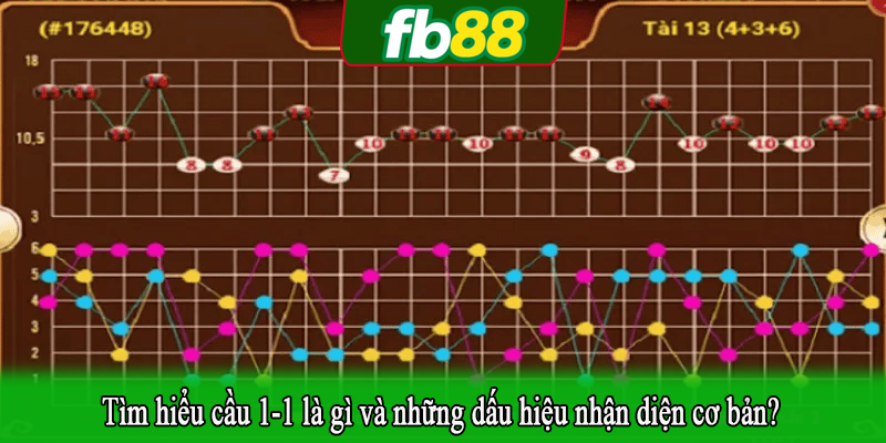 Tìm hiểu cầu 1-1 là gì và những dấu hiệu nhận diện cơ bản?