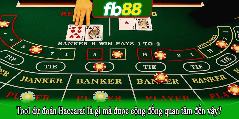 Tool dự đoán Baccarat là gì mà được cộng đồng quan tâm đến vậy?