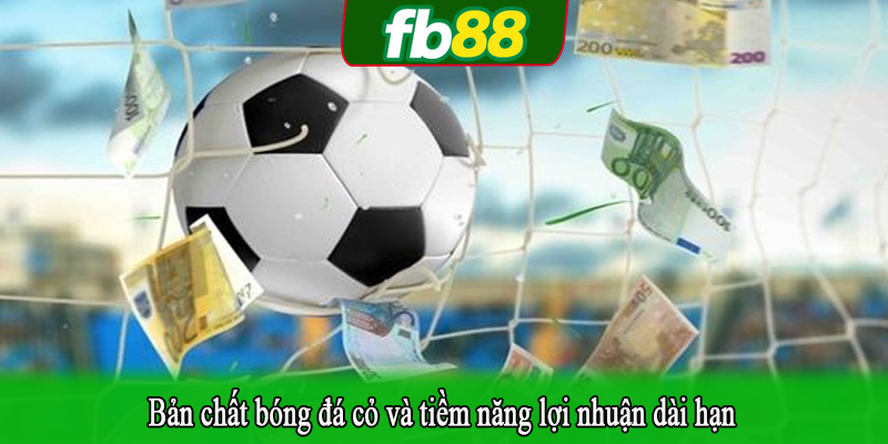 Bản chất bóng đá cỏ và tiềm năng lợi nhuận dài hạn