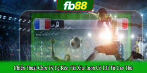 chiến thuật chơi tỷ lệ kèo tài xỉu luôn có lãi