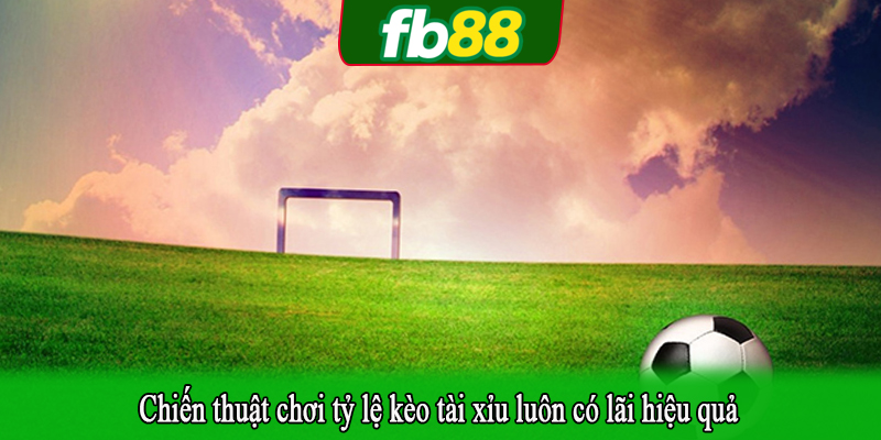 Chiến thuật chơi tỷ lệ kèo tài xỉu luôn có lãi hiệu quả