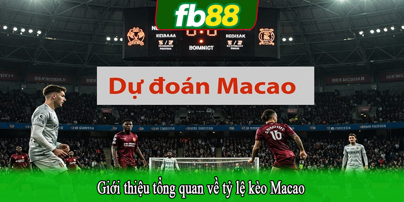 Giới thiệu tổng quan về tỷ lệ kèo Macao