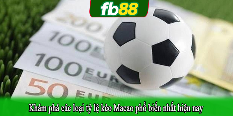 Khám phá các loại tỷ lệ kèo Macao phổ biến nhất hiện nay