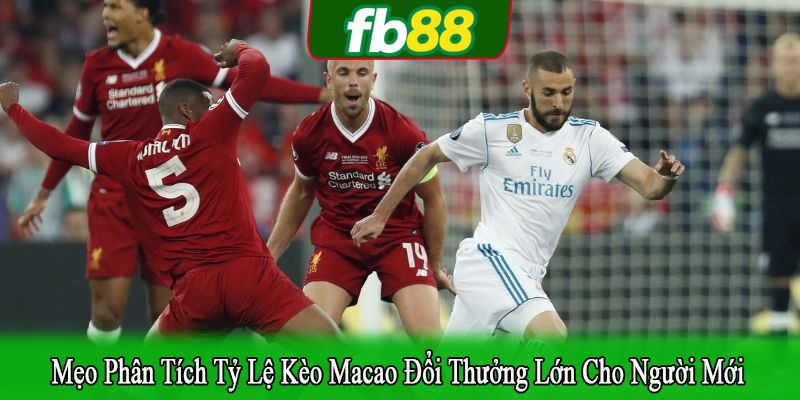 mẹo phân tích tỷ lệ kèo Macao