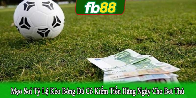 mẹo soi tỷ lệ kèo bóng đá cỏ kiếm tiền hàng ngày