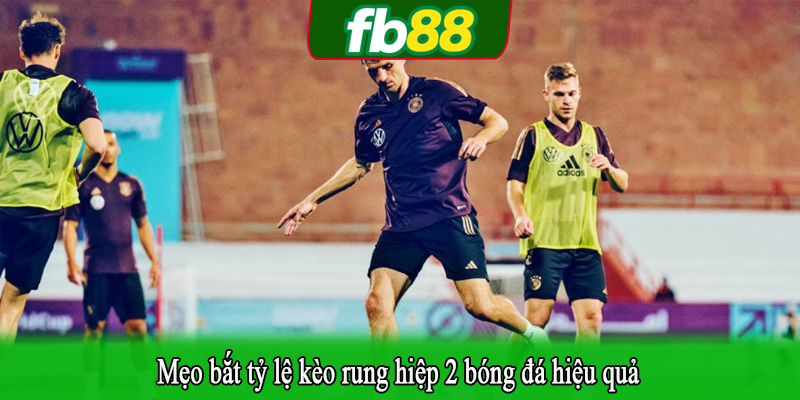 Mẹo bắt tỷ lệ kèo rung hiệp 2 bóng đá hiệu quả