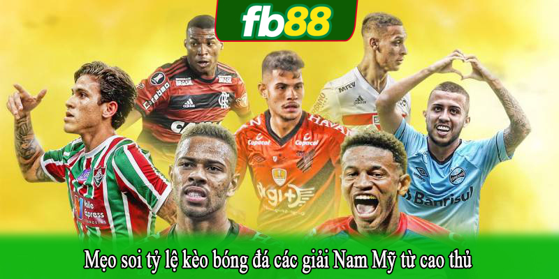 Mẹo soi tỷ lệ kèo bóng đá các giải Nam Mỹ từ cao thủ