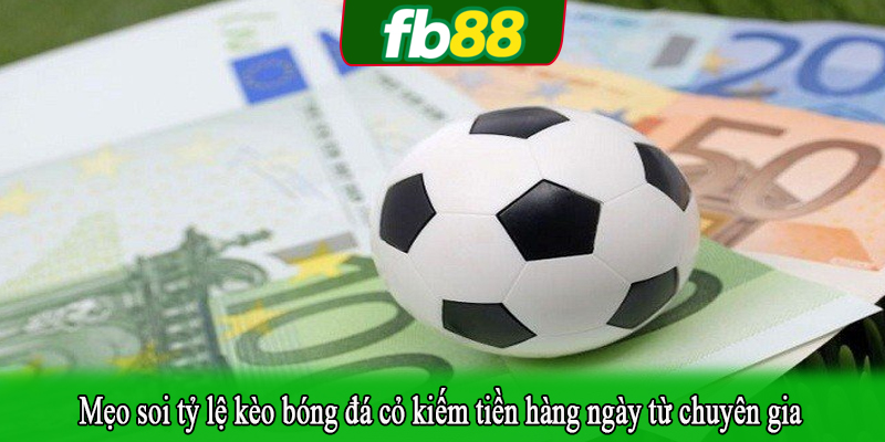 Mẹo soi tỷ lệ kèo bóng đá cỏ kiếm tiền hàng ngày từ chuyên gia