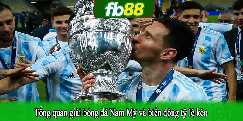 Tổng quan giải bóng đá Nam Mỹ và biến động tỷ lệ kèo