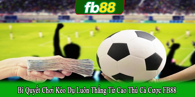bí quyết chơi kèo dụ luôn thắng