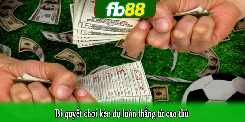 Bí quyết chơi kèo dụ luôn thắng từ cao thủ