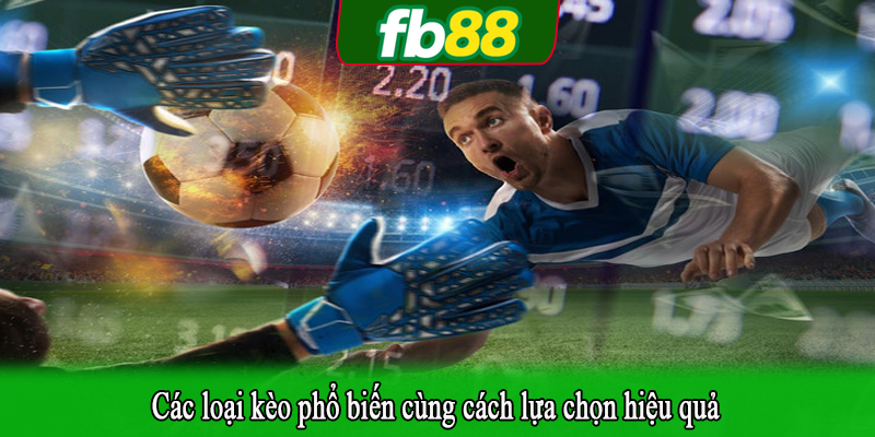 Các loại kèo phổ biến cùng cách lựa chọn hiệu quả