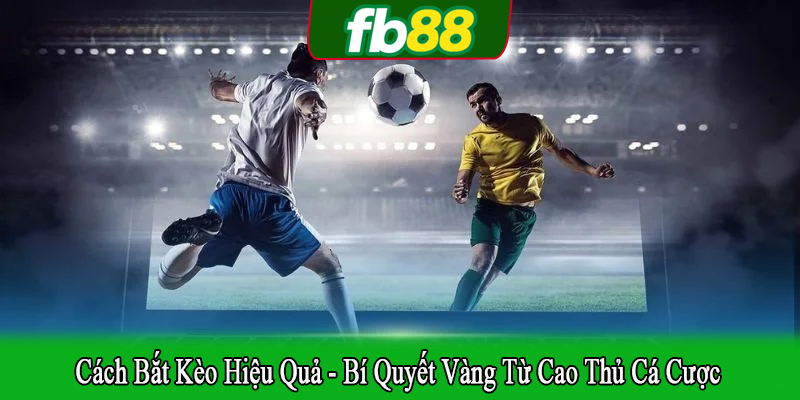 cách bắt kèo hiệu quả