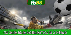 cách chơi kèo trên kèo dưới