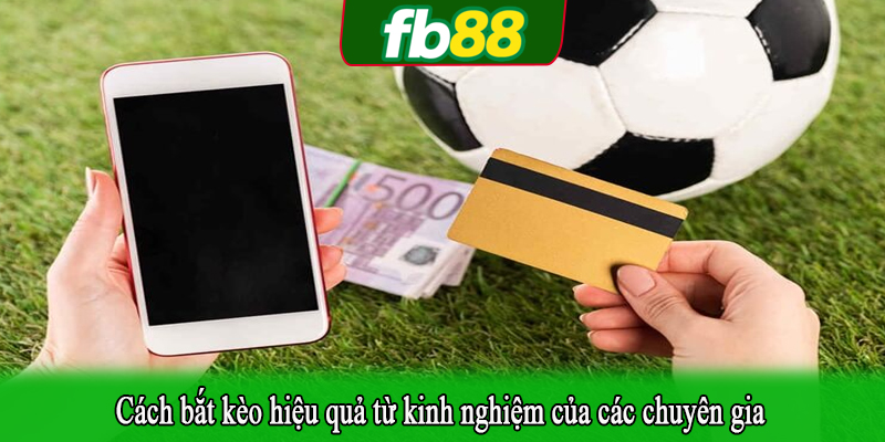 Cách bắt kèo hiệu quả từ kinh nghiệm của các chuyên gia