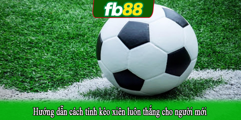 Hướng dẫn cách tính kèo xiên luôn thắng cho người mới