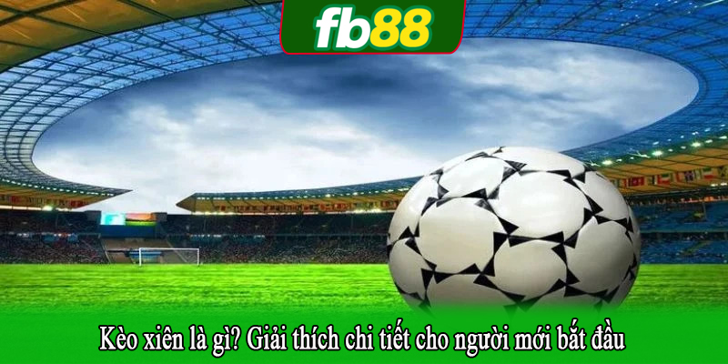 Kèo xiên là gì? Giải thích chi tiết cho người mới bắt đầu
