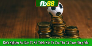 kinh nghiệm soi kèo tỷ số chính xác