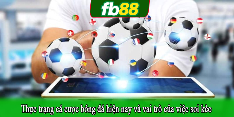 Thực trạng cá cược bóng đá hiện nay và vai trò của việc soi kèo