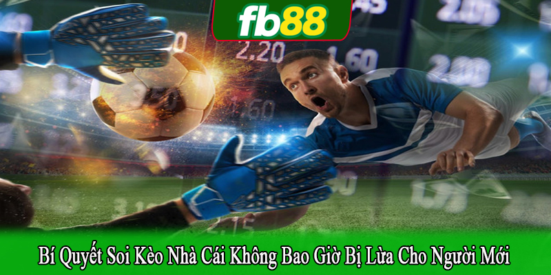 bí quyết soi kèo nhà cái không bao giờ bị lừa