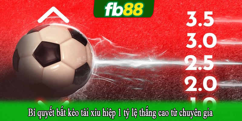 Bí quyết bắt kèo tài xỉu hiệp 1 tỷ lệ thắng cao từ chuyên gia
