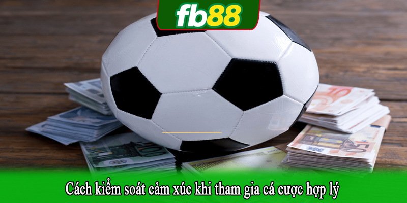 Cách kiểm soát cảm xúc khi tham gia cá cược hợp lý