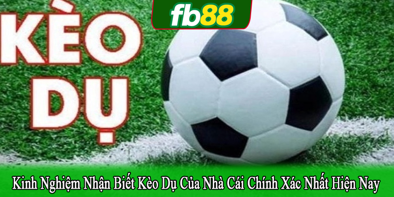 kinh nghiệm nhận biết kèo dụ của nhà cái