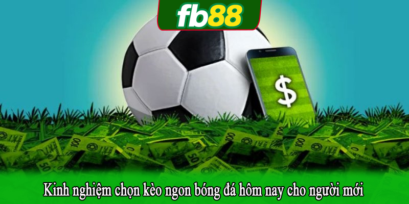 Kinh nghiệm chọn kèo ngon bóng đá hôm nay cho người mới