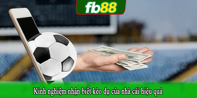 Kinh nghiệm nhận biết kèo dụ của nhà cái hiệu quả