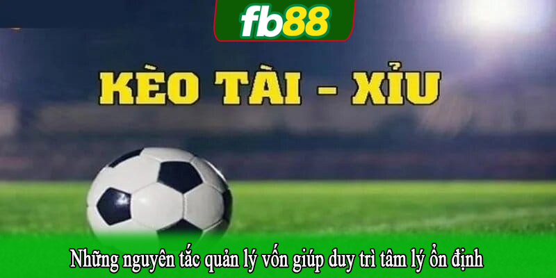 Những nguyên tắc quản lý vốn giúp duy trì tâm lý ổn định