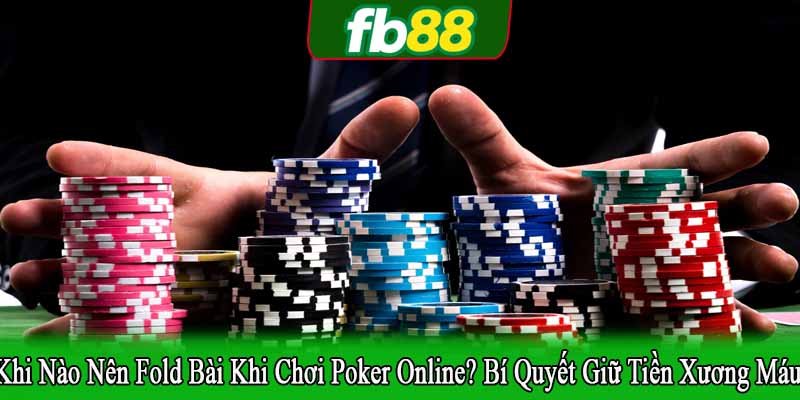 khi nào nên fold bài khi chơi poker online